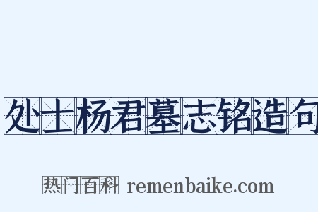 处士杨君墓志铭造句是什么意思的图片